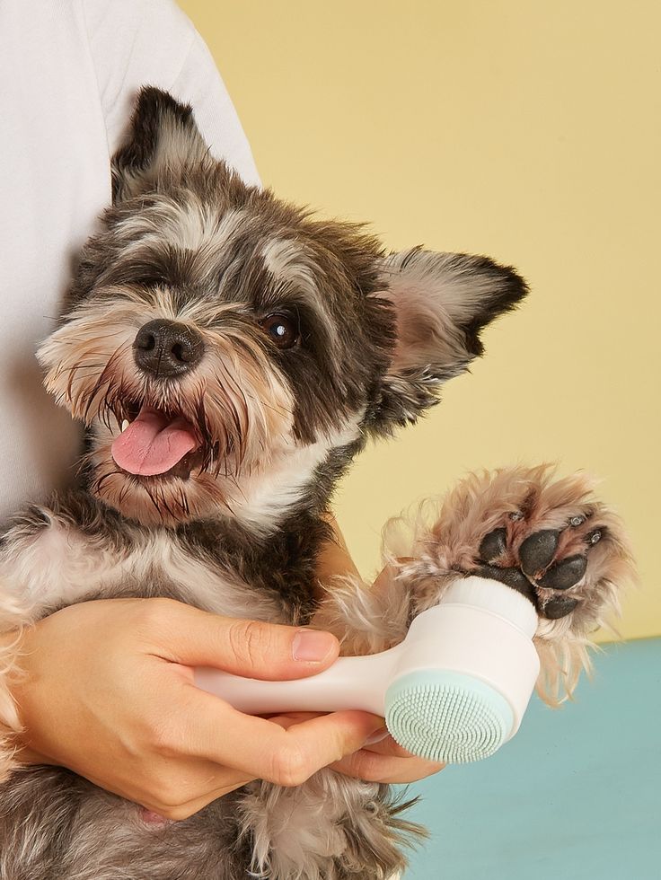 Pet Grooming & Cleaning