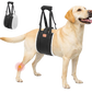 Portable Dog Sling for Large Dogs