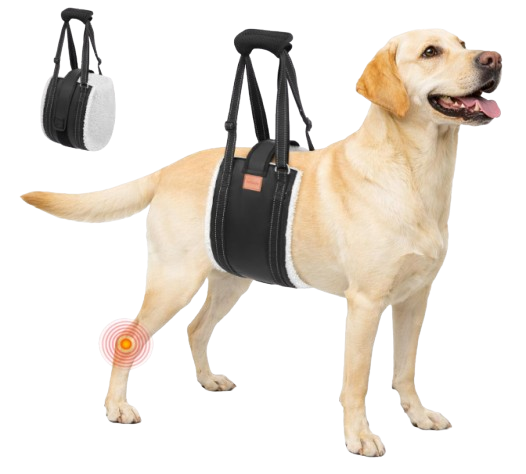 Portable Dog Sling for Large Dogs